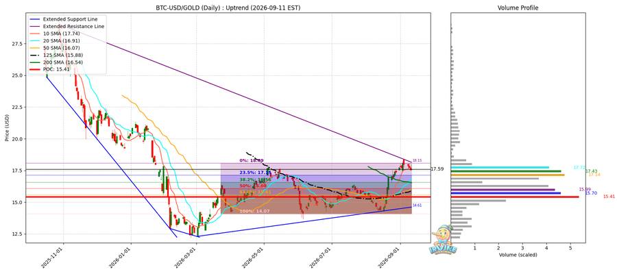 BTC vs Gold 비교