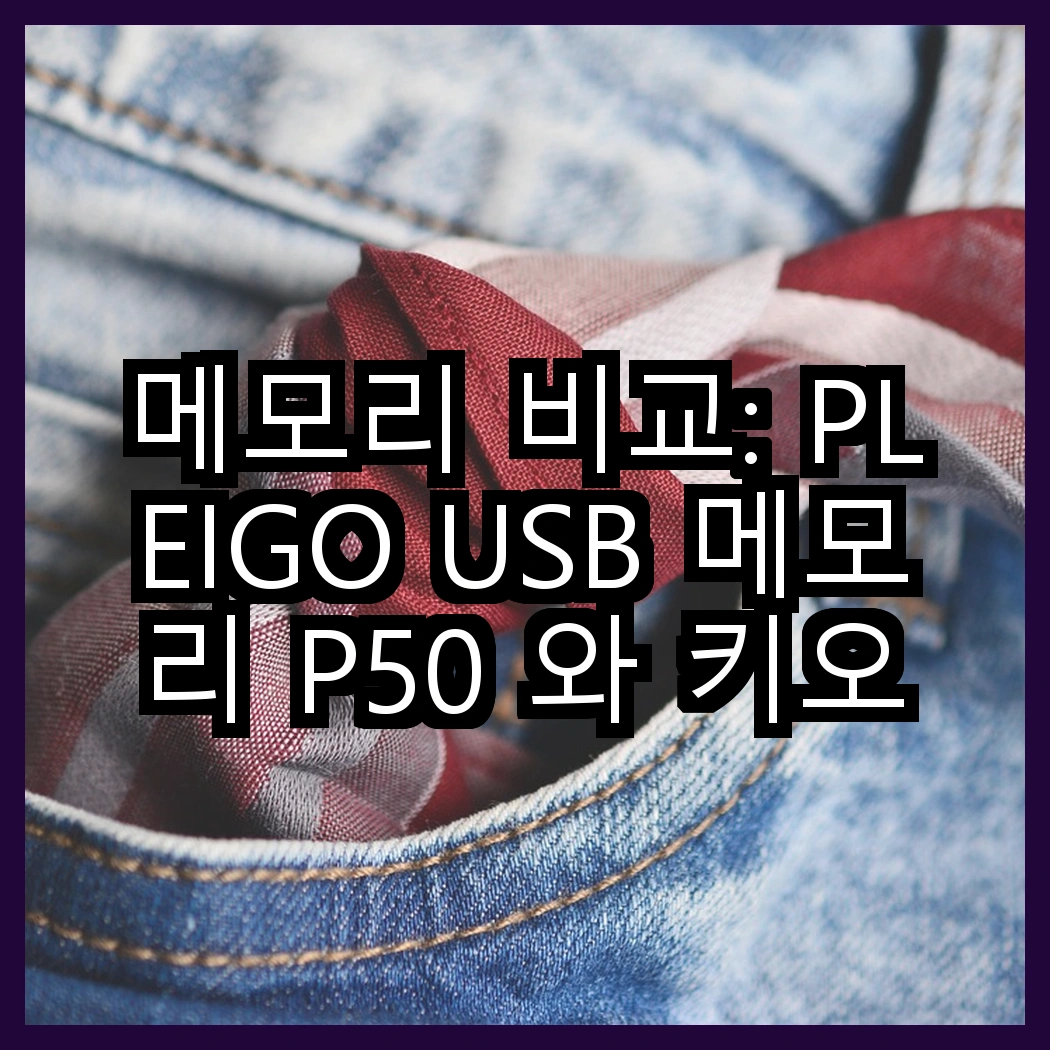 메모리 비교: PLEIGO USB 메모리 P50 와 키오시아 EXCERIA 마이크로 카드, 어떤 용도로 더 적합할까? 썸네일