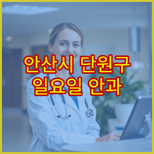 안산시 단원구 일요일 안과 진료 병원 결막염·눈다래끼 치료 가능