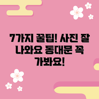 동대문스튜디오 내돈내산, 사진 잘 나오는 팁, 어떻게 사진을 잘 찍나, 왜 내돈내산 추천인가, 동대문스튜디오 활용법