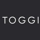 Toggi EU logo