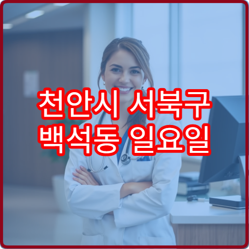 천안시 서북구 백석동 일요일 피부과 진료 병원 피부 트러블 관리