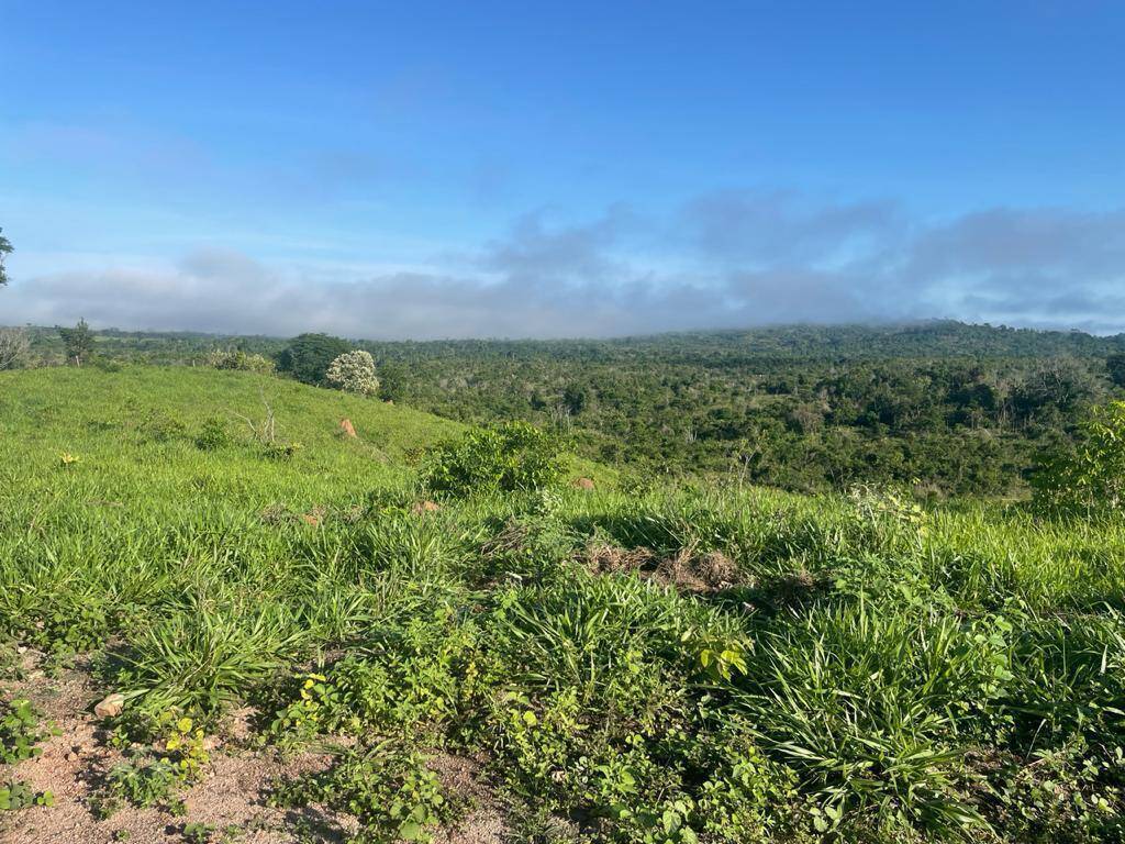 Fazenda em Cumaru do Norte - PA 10