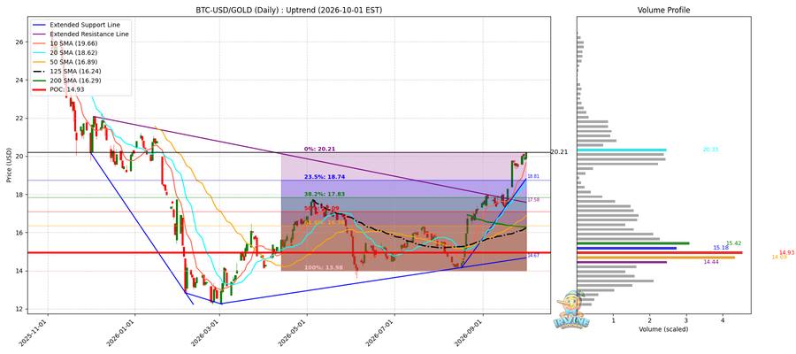 BTC vs Gold 비교