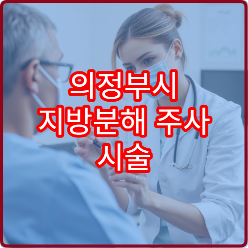 의정부시 지방분해 주사 시술 전 검사와 관리 병원 안내