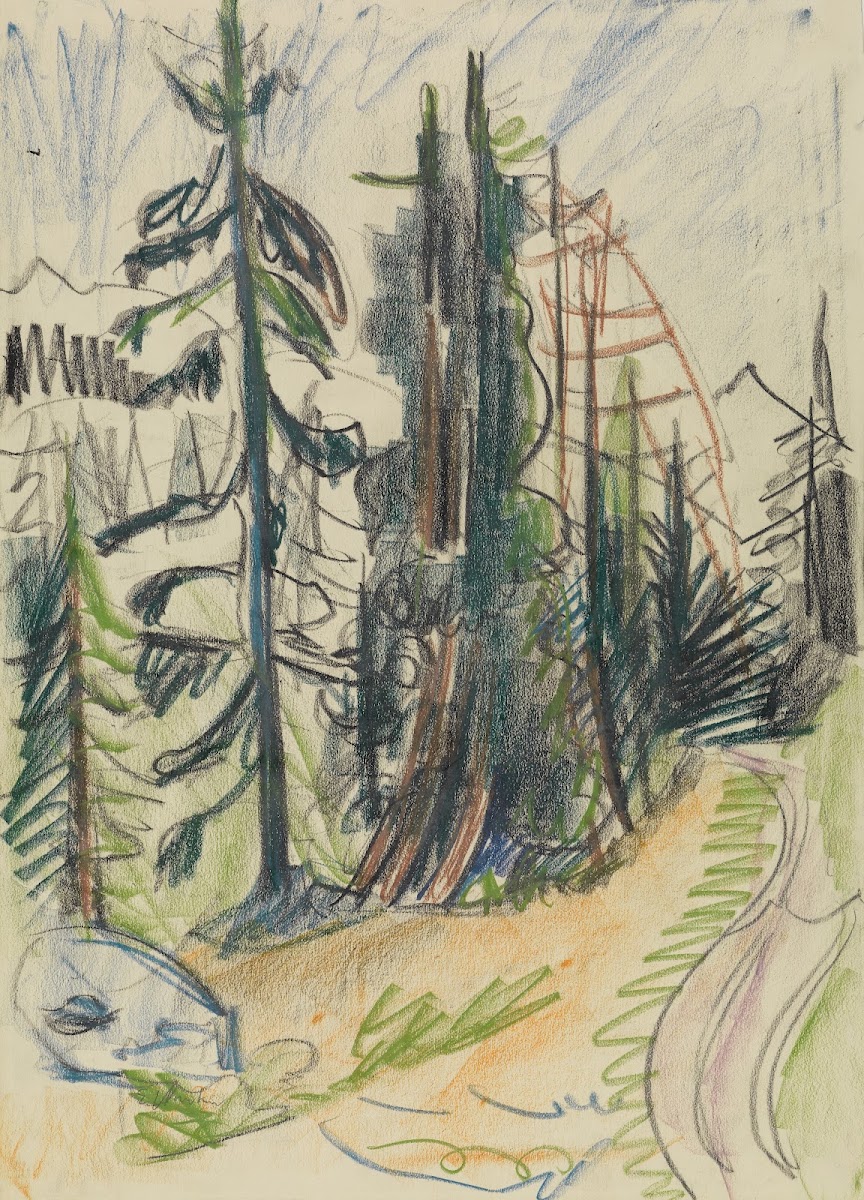 Bergtannen und Weg ca 1918
