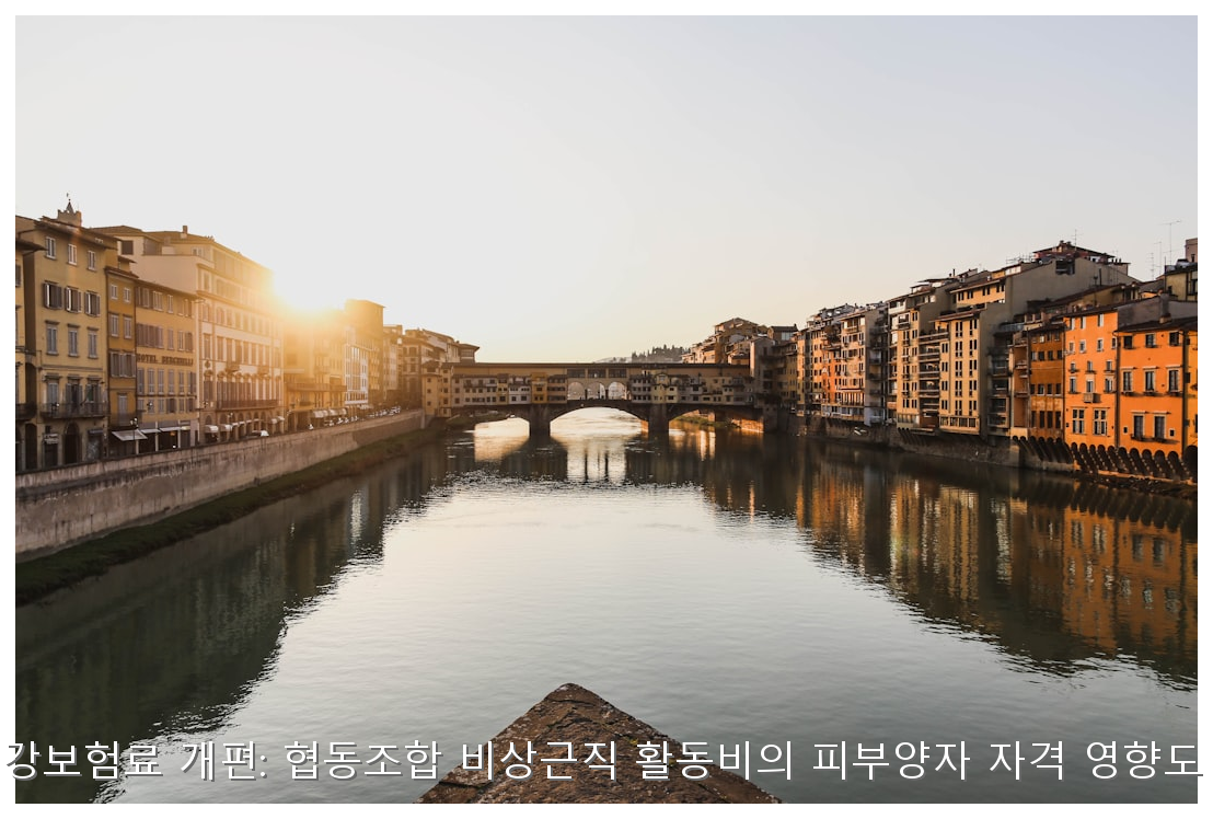 2026년 건강보험료 개편: 협동조합 비상근직 활동비의 피부양자 자격 영향도 정밀 분석 핵심 안내 및 분석 인포그래픽 (4)