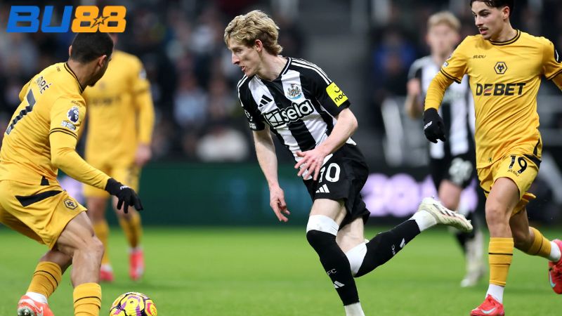 Dự đoán kết quả Wolves vs Newcastle 21h00 ngày 18/01/2026