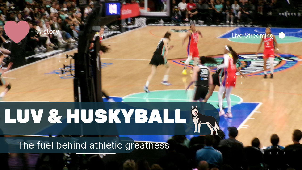 Luv & Huskyball