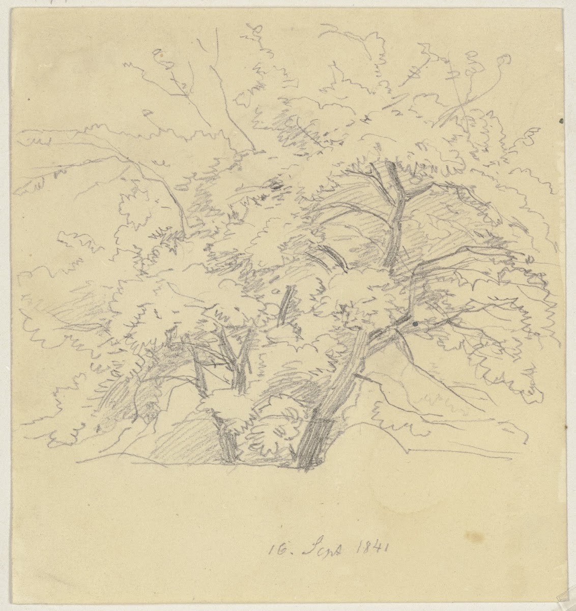 Tree 1841