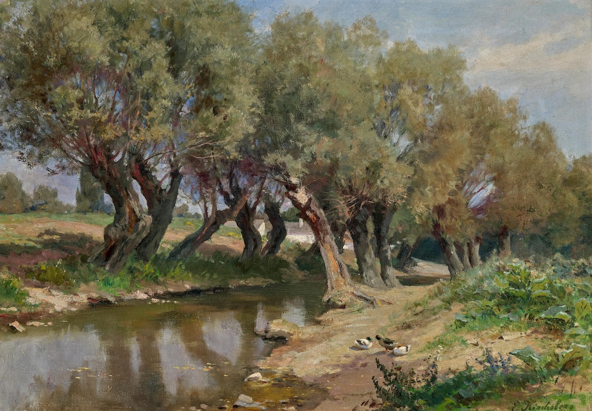 Willows by a creek