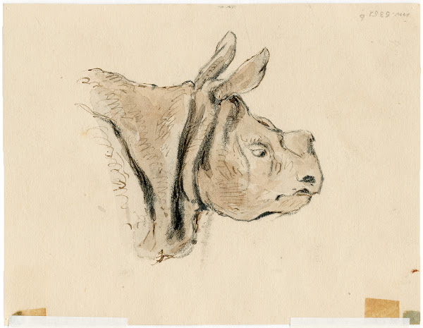 Het nijlpaard in de Engelse dierentuin 1806