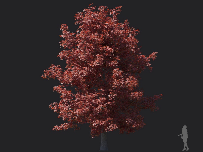 Maxtree - Plant Models Vol.116