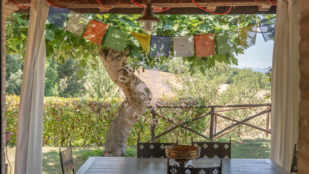 קזאלה יוג'ין (Casale Eugene) — 54