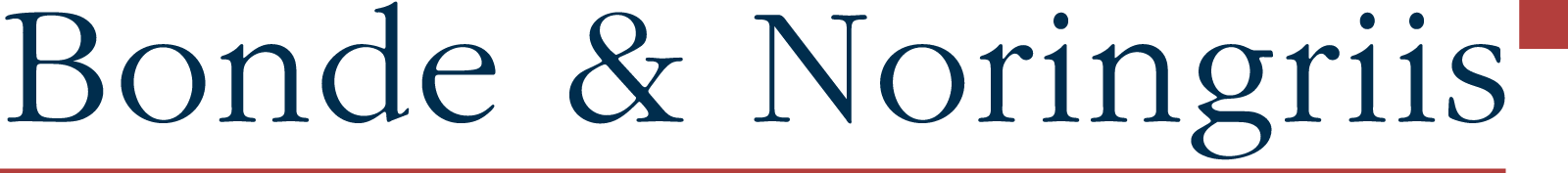 ADVOKATFIRMAET BONDE & NORINGRIIS ApS