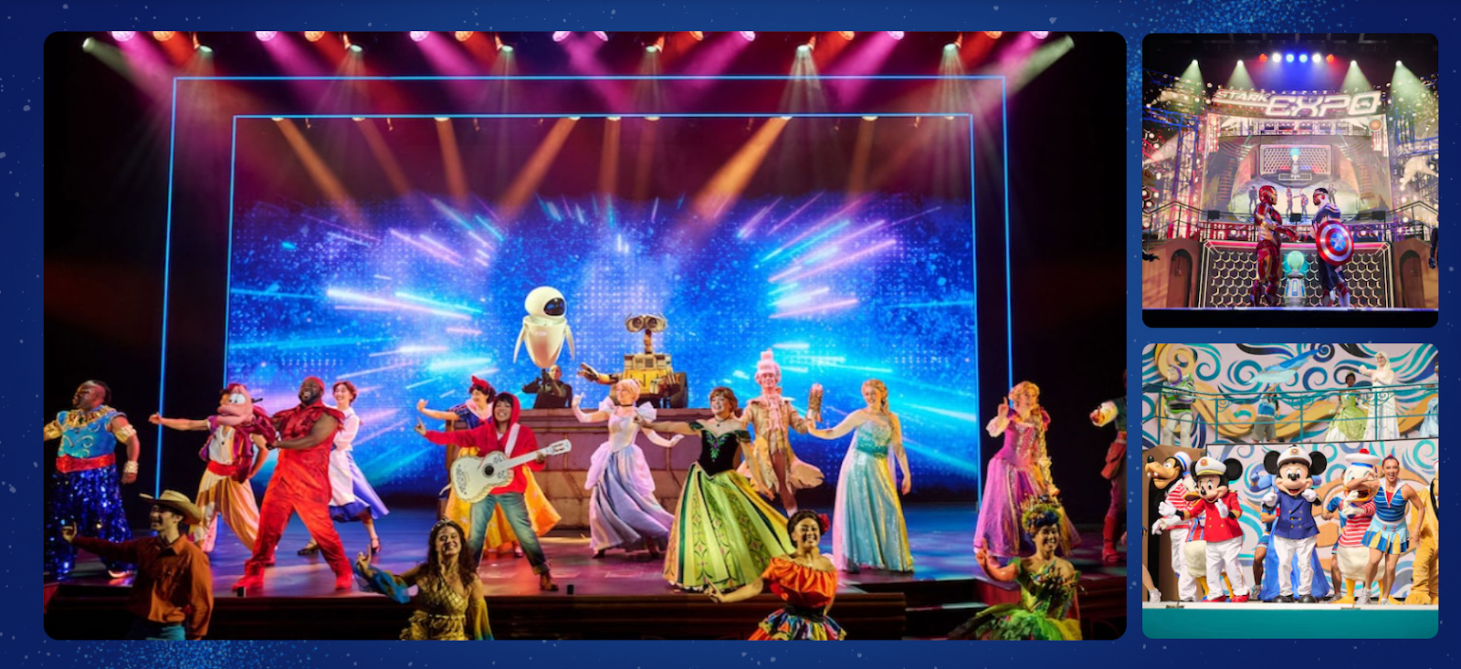 Disney live show