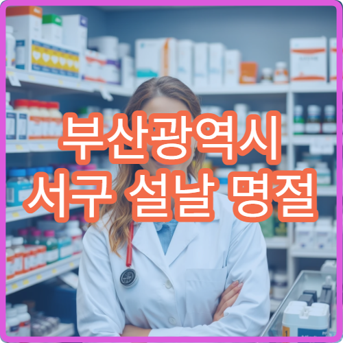 부산광역시 서구 설날 명절 한의원·응급의학과·24시간 병원 연휴 당직약국 정보