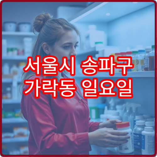 서울시 송파구 가락동 일요일 당번약국 문여는 곳 주말 약 구매 안내