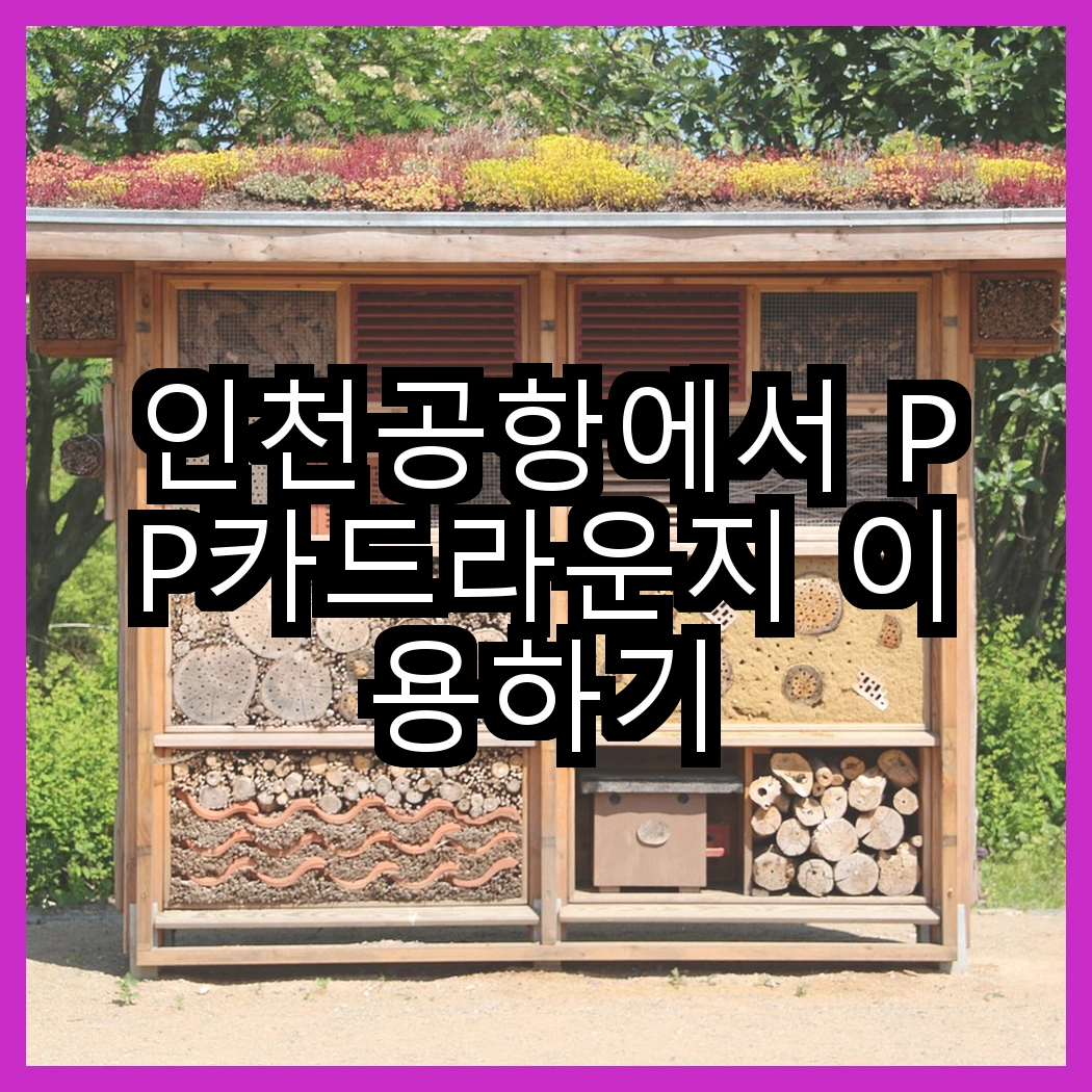 인천공항에서 PP카드라운지 이용하기 썸네일