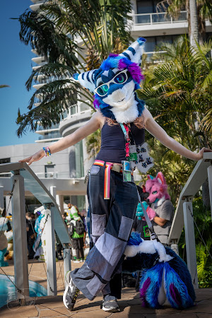 furdu-03921.jpg