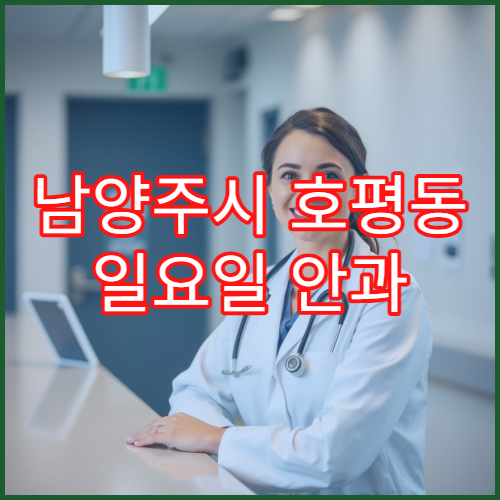 남양주시 호평동 일요일 안과 시력저하 눈통증 검사 안내