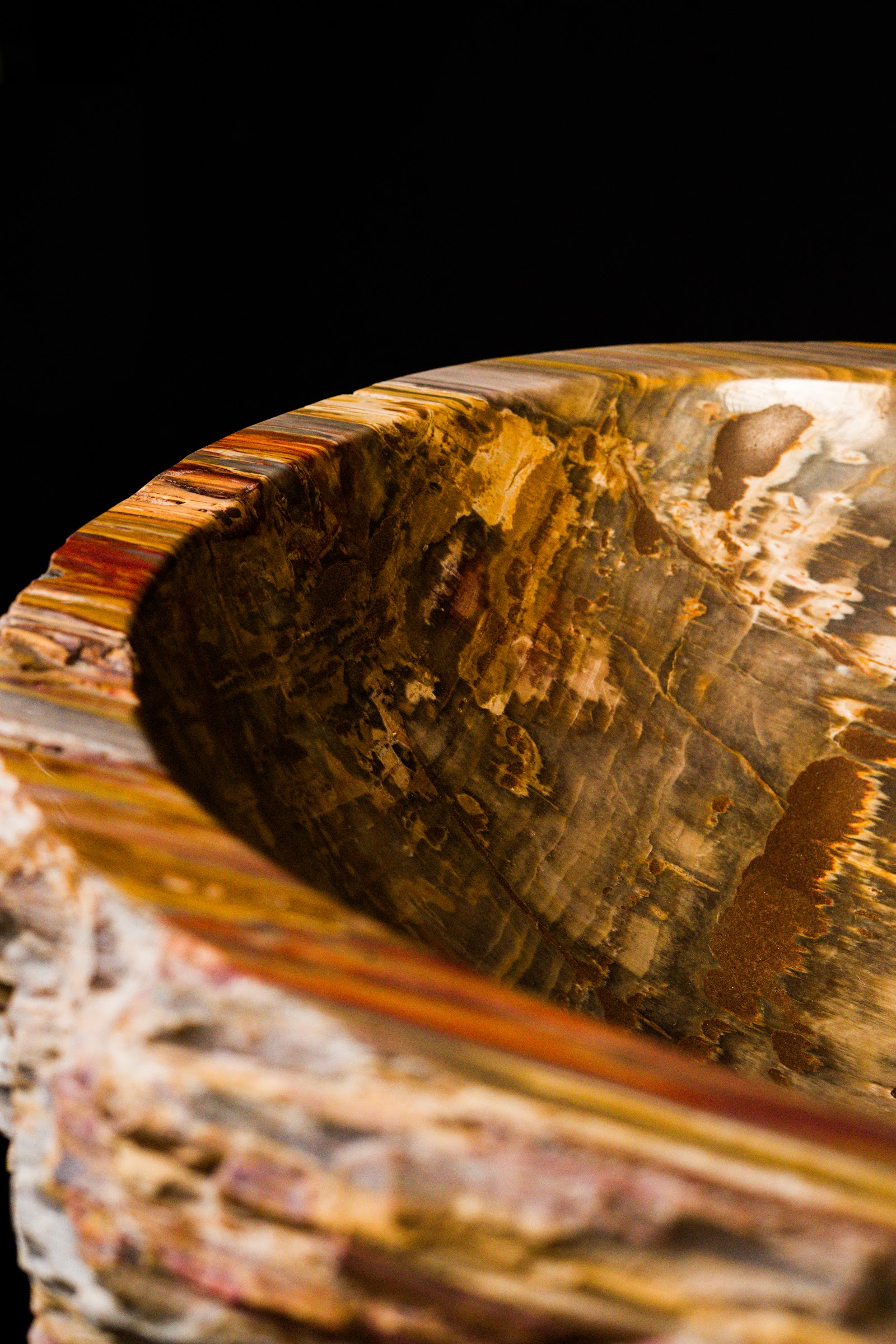 Petrified Wood Basins, studio view 4
