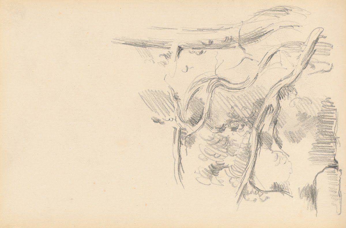 Pine Tree 1882 1885
