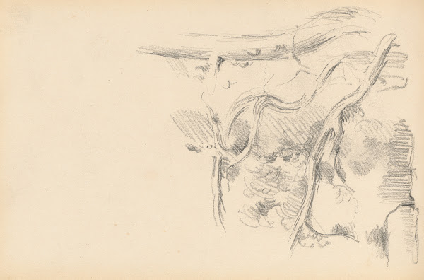 Pine Tree 1882 1885