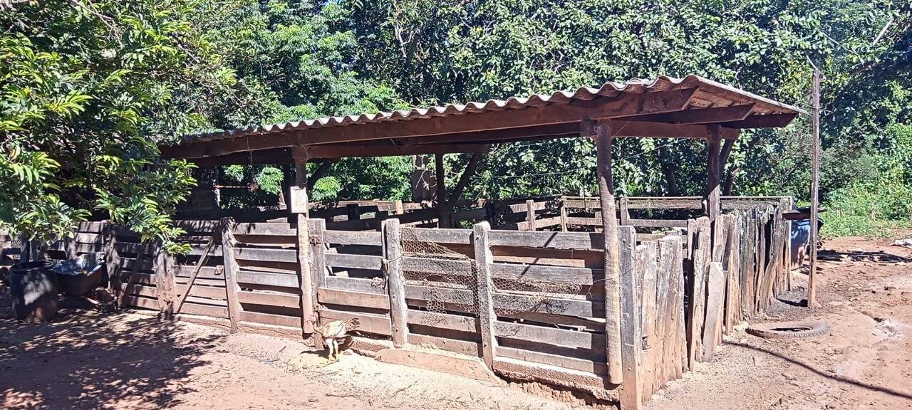 Fazenda em Caldazinha-GO 6