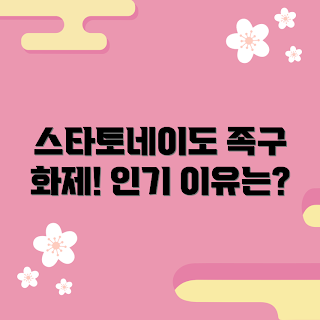 스타토네이도족구화 추천, 인기 스포츠 용품, 족구화 리뷰, 스타토네이도족구화 특징, 스포츠 용품 추천
