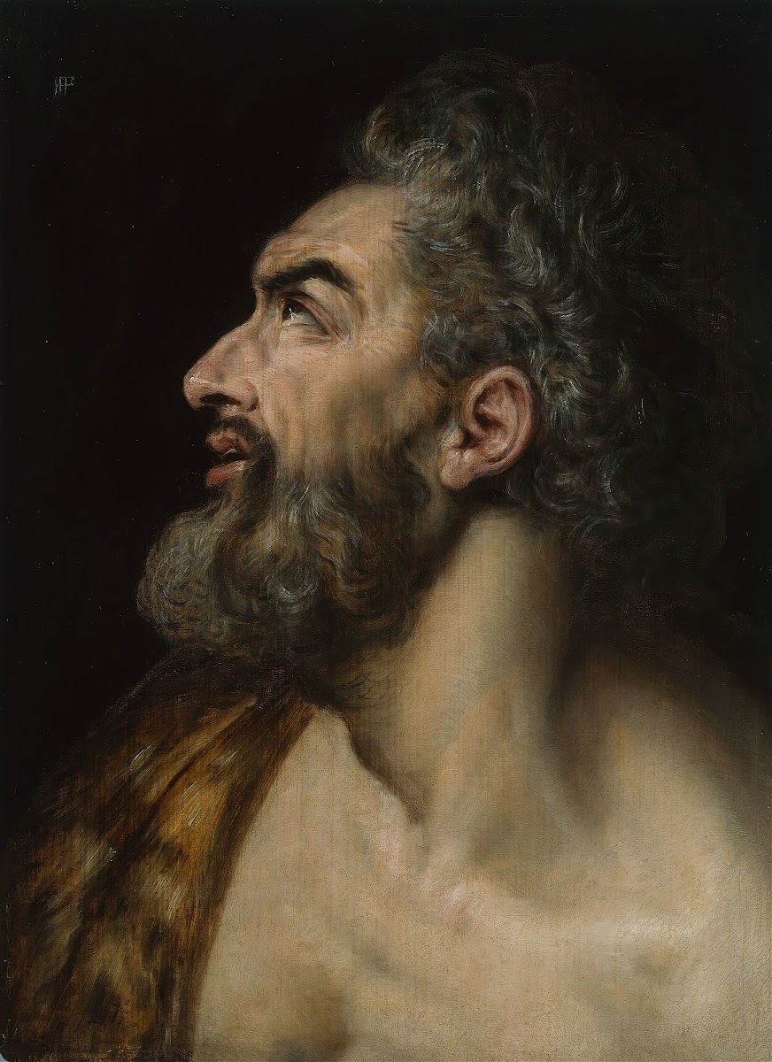 Study Head of a Bearded Man c 1565