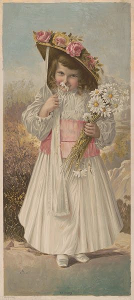 Daisies 1891