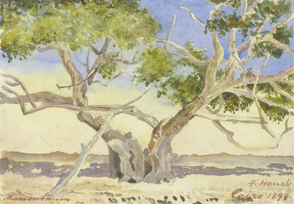 Marys tree near Cairo 1898
