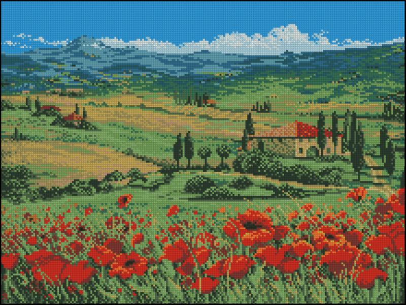 CMP 320100 Poppy Fields