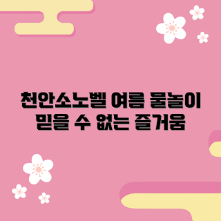 천안소노벨워터파크, 여름 물놀이, 가족 여행, 친구와 함께, 어린이 수영장