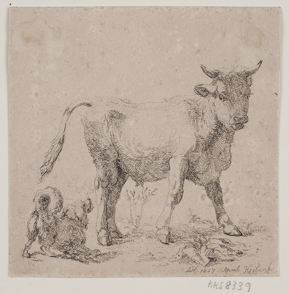 En tyrekalv og en gøende hund 1837