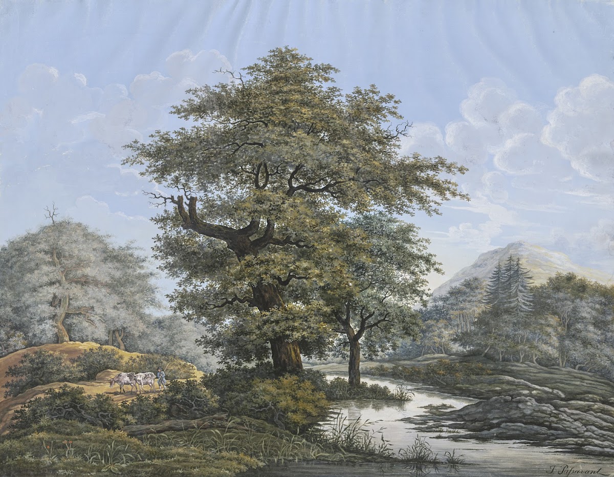 Baumreiche Landschaft in der Mitte eine Eiche am Ufer eines Flusses