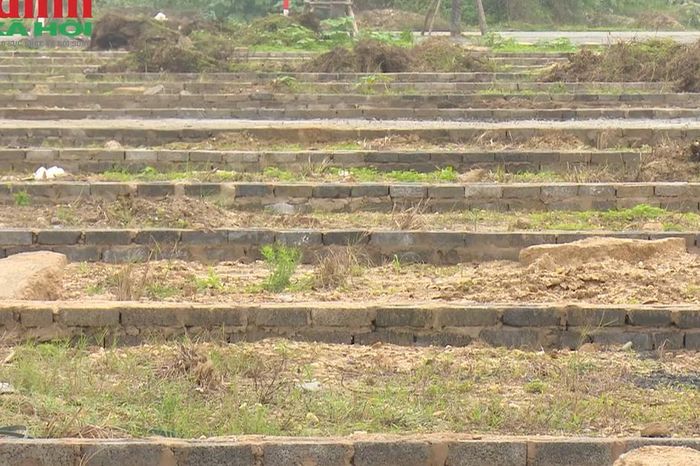 Năm 2026, khi tách thửa đất ở tại An Giang, diện tích tối thiểu bao nhiêu thì được cấp sổ đỏ? - Chuyên trang Gia Đình &amp; Xã Hội - Báo Sức khỏe &amp; Đời sống