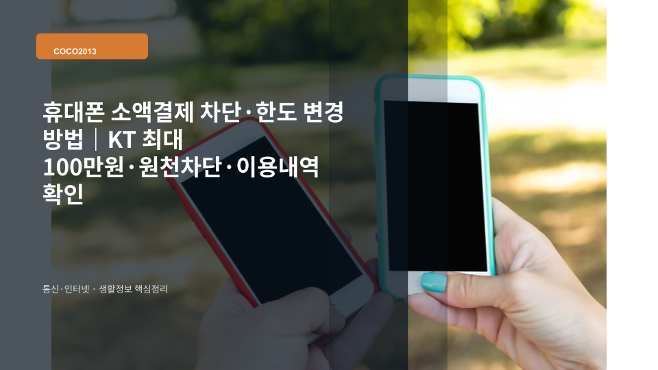 휴대폰 소액결제 차단과 한도 변경을 확인하는 스마트폰 화면 이미지