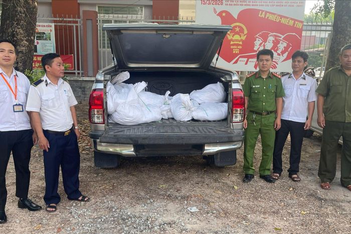 TP.HCM: Phát hiện xe chở gần 300 kg gà chết bốc mùi hôi thối đi tiêu thụ - Báo Pháp Luật TP.HCM