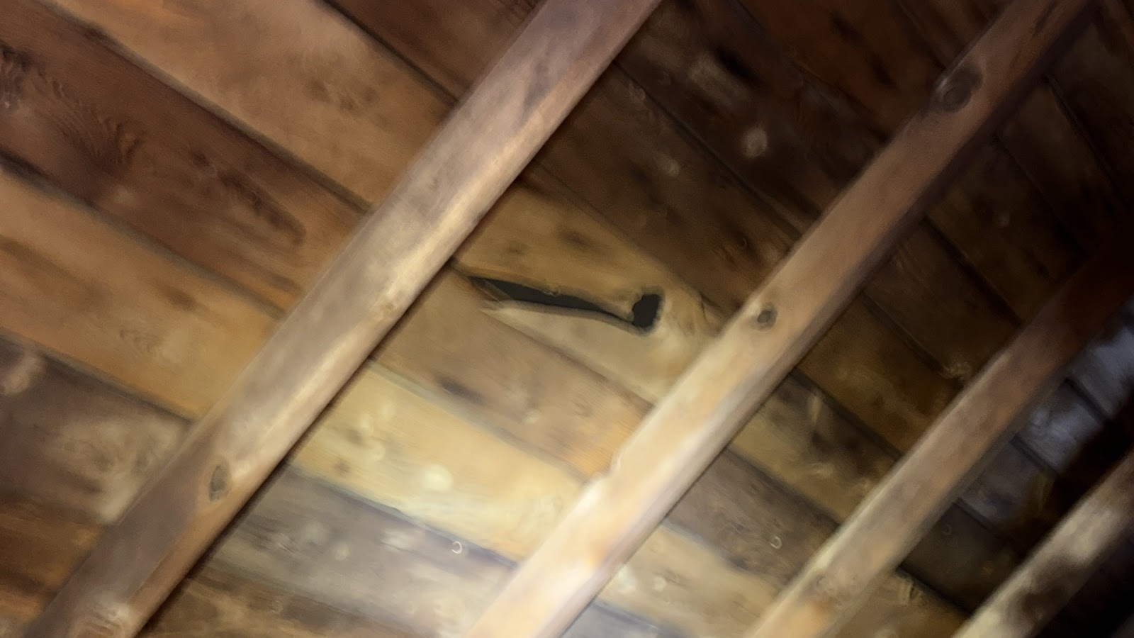 Copy of IMG_2026-03-13_14-13-35_706.jpg