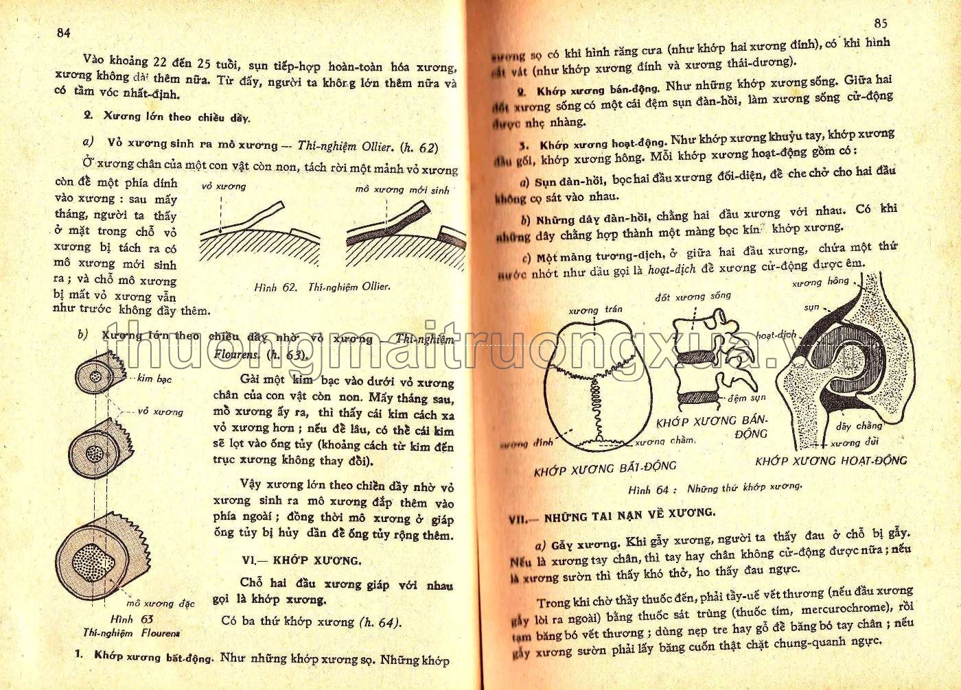 Vạn vật học lớp 9 (1971) - Trang 43
