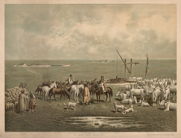 Auf der Puszta