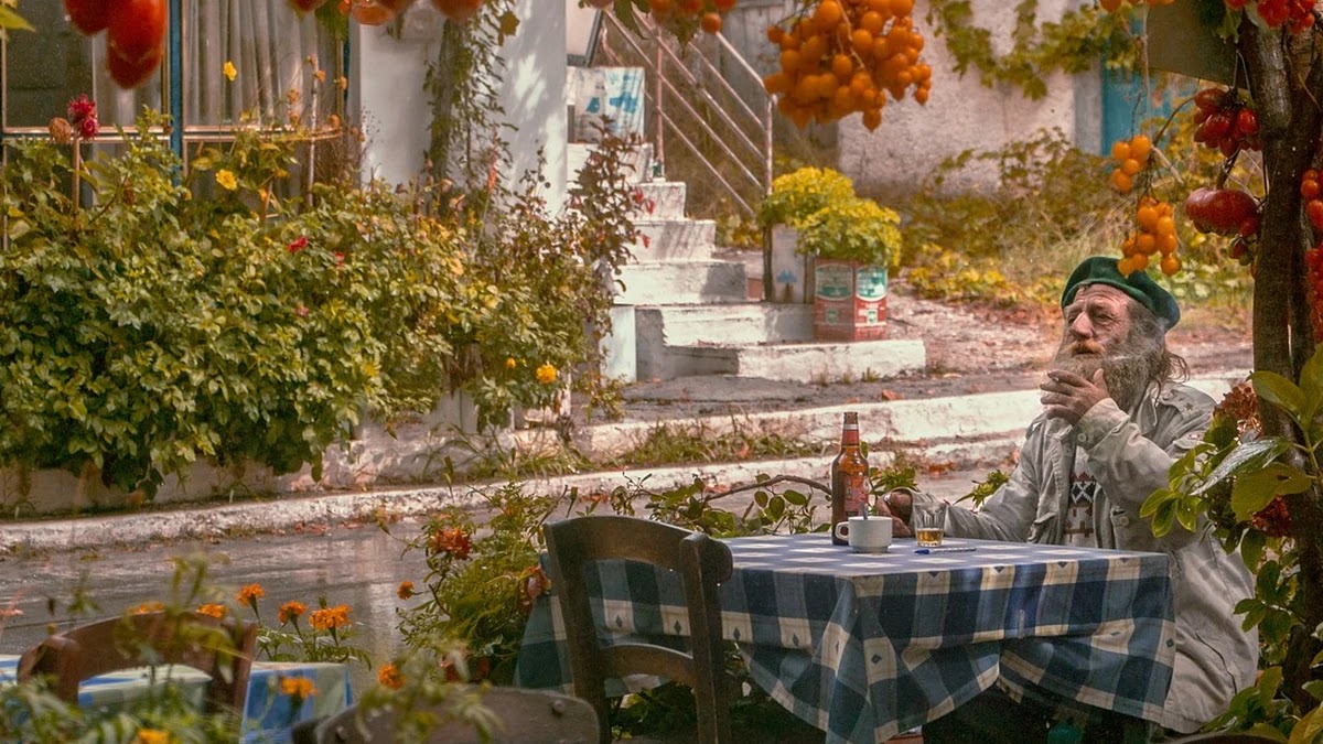 만성 염증 관리법과 노화 예방에 좋은 식단 구성 기준