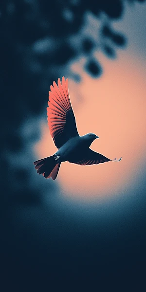 Bird, Flying, Sunrise, Silhouette Full HD iPhone Wallpaper Background