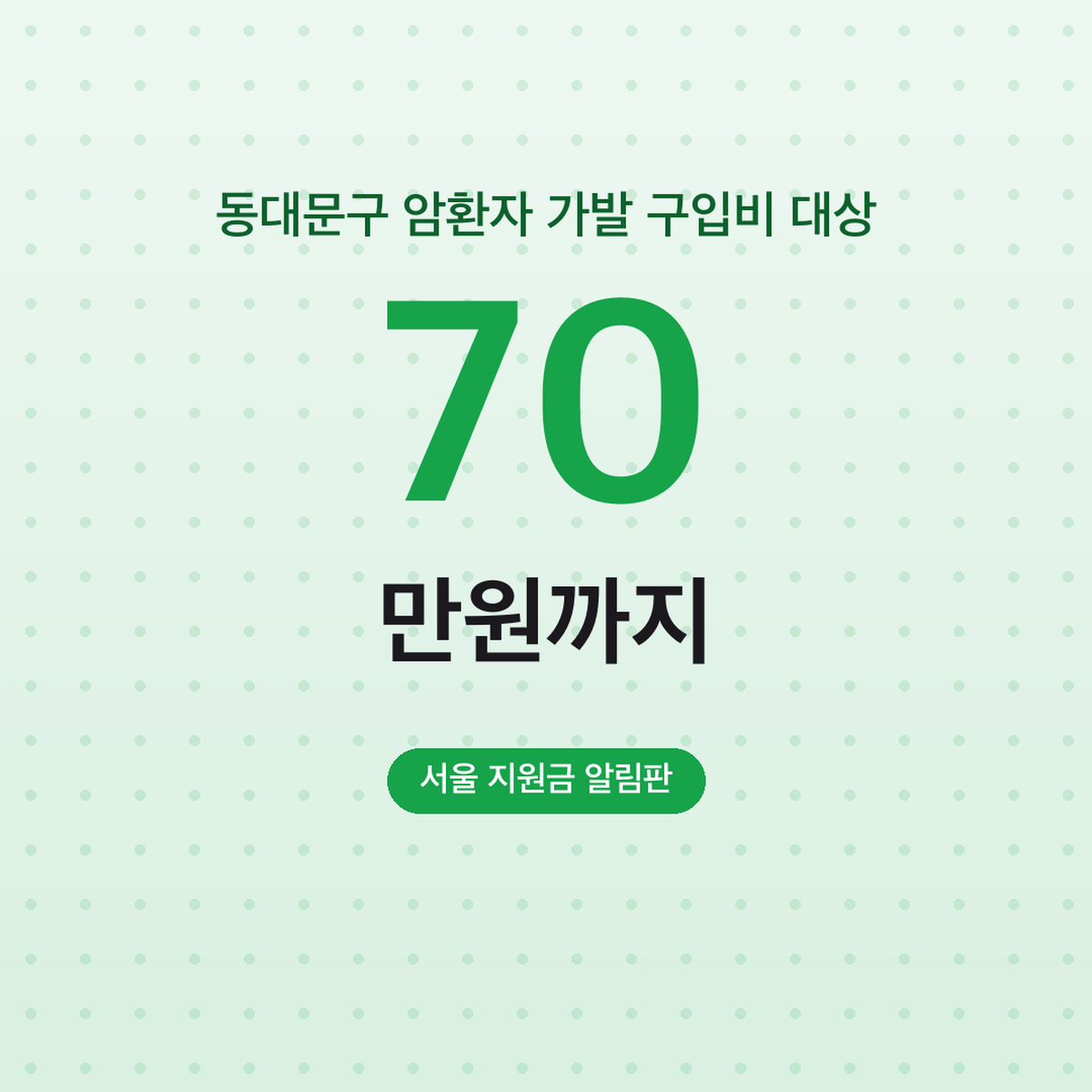 동대문구 암환자 가발 구입비 최대 70만원 대상
