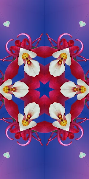 Ios 17, Ios 16, Ios, Flower Full HD iPhone Wallpaper Background