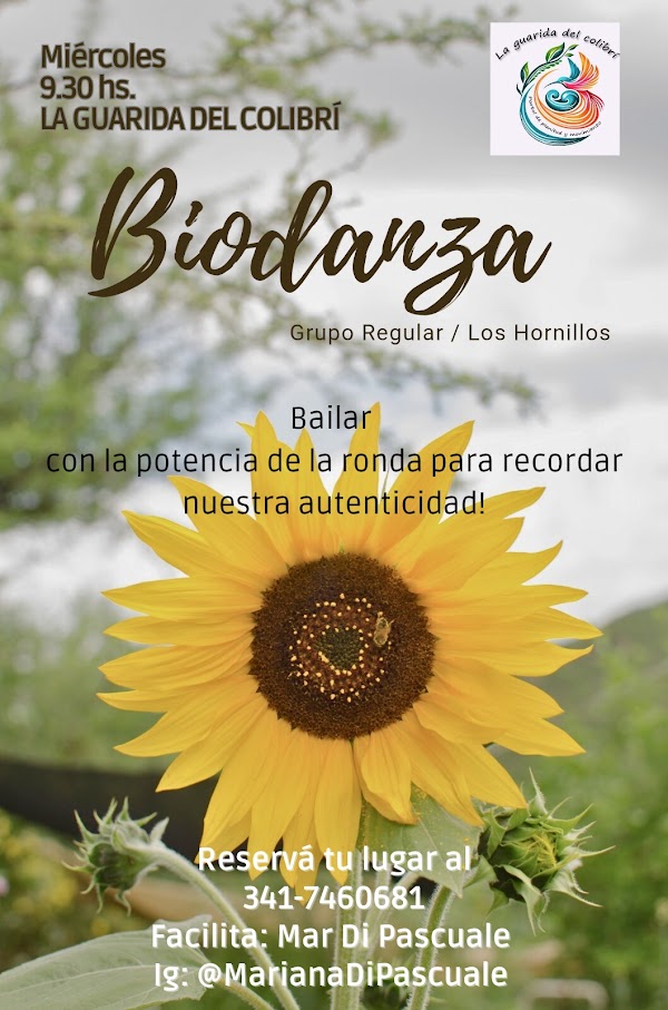Biodanza Grupo regular