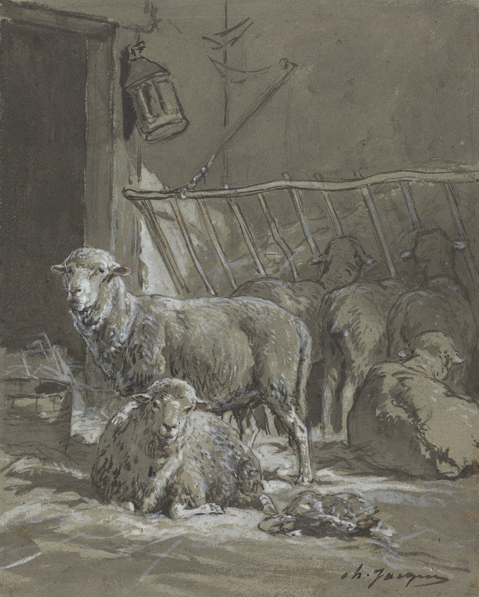 Sheep in a Manger