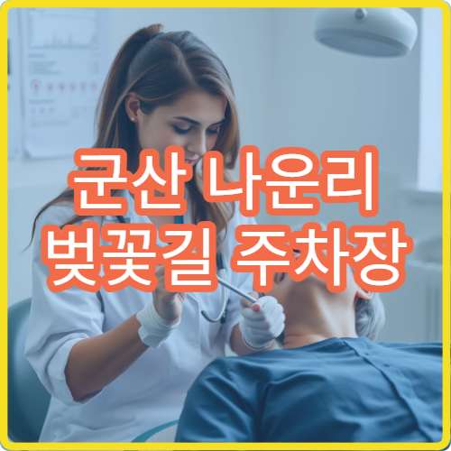 군산 나운리 벚꽃길 주차장 숨은 위치와 셔틀버스 이용 가이드